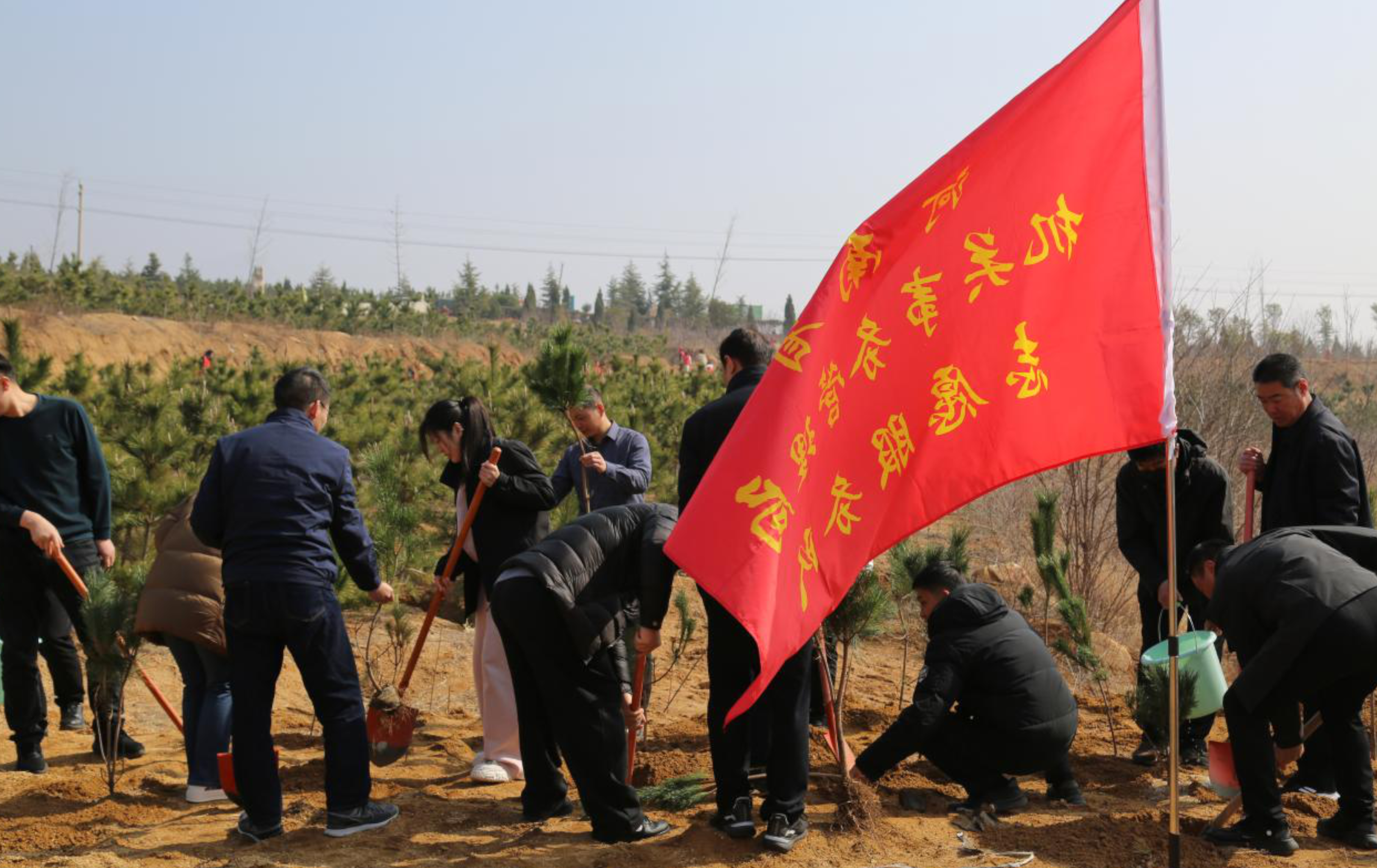 省事管局组织开展2026年春季义务植树活动