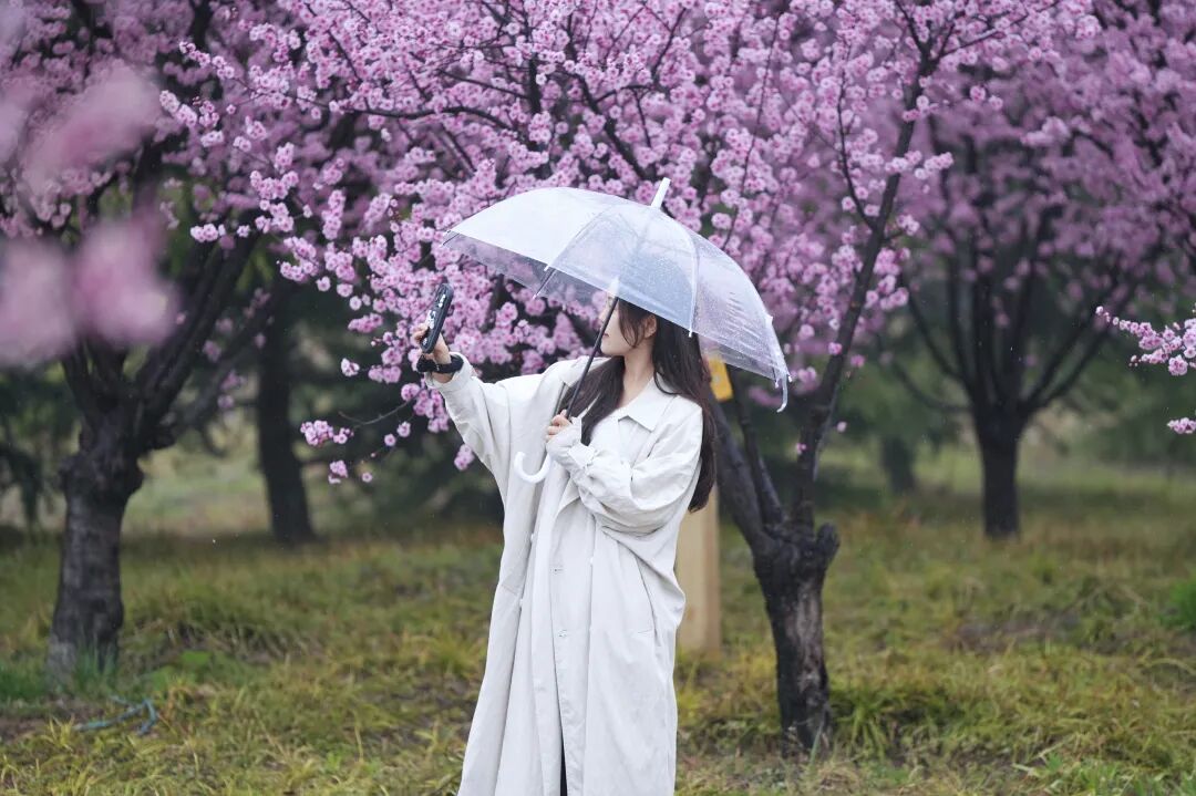绝美！速来打卡港区“花花世界”
