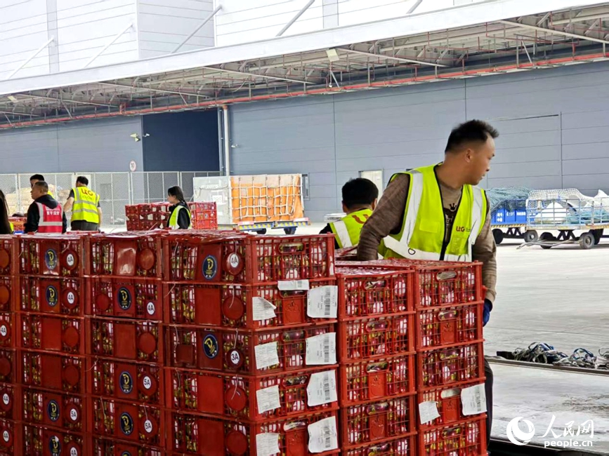 “空中丝路”架金桥 河南首季外贸超2600亿元