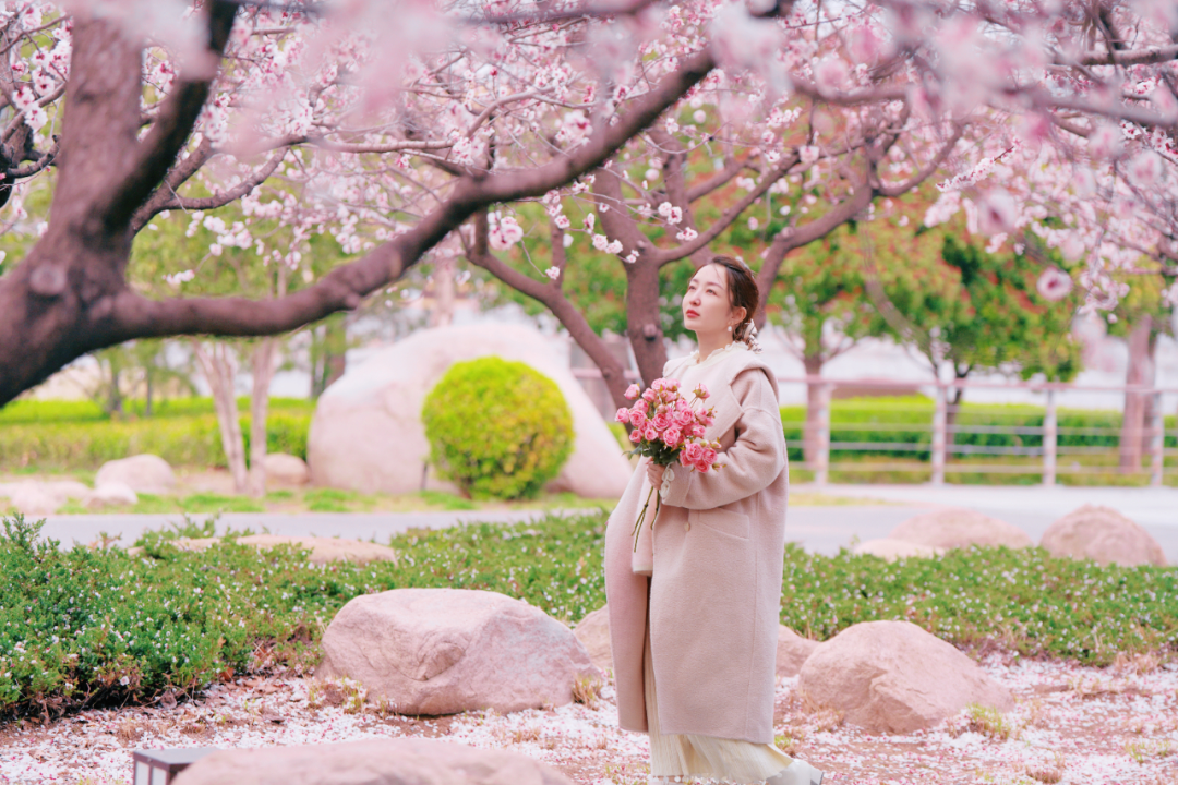 绝美！速来打卡港区“花花世界”