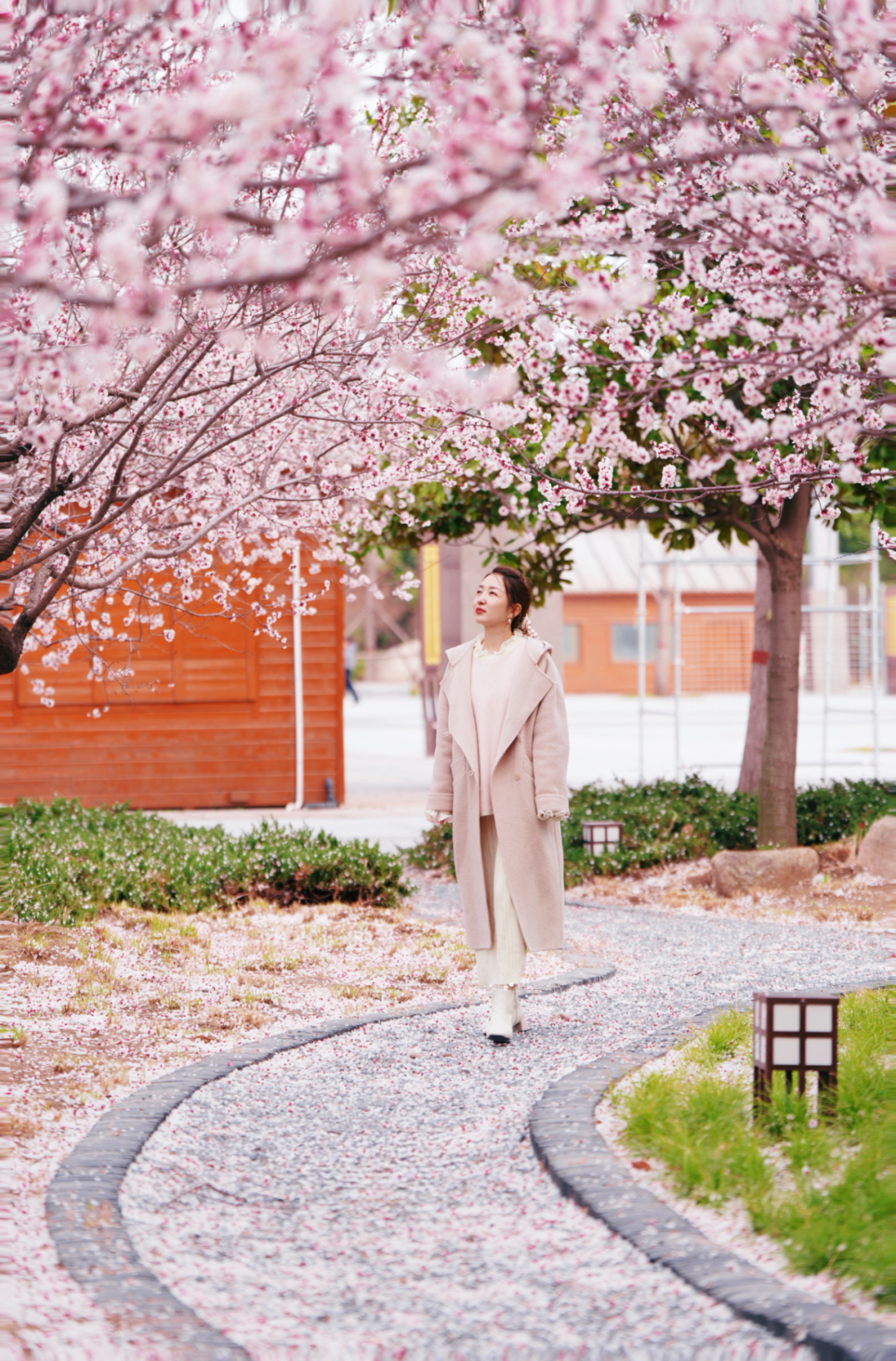 绝美！速来打卡港区“花花世界”