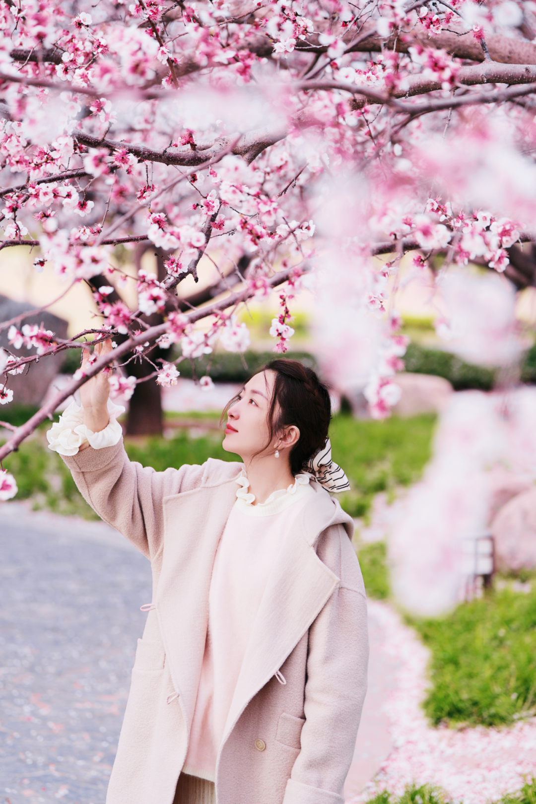 绝美！速来打卡港区“花花世界”