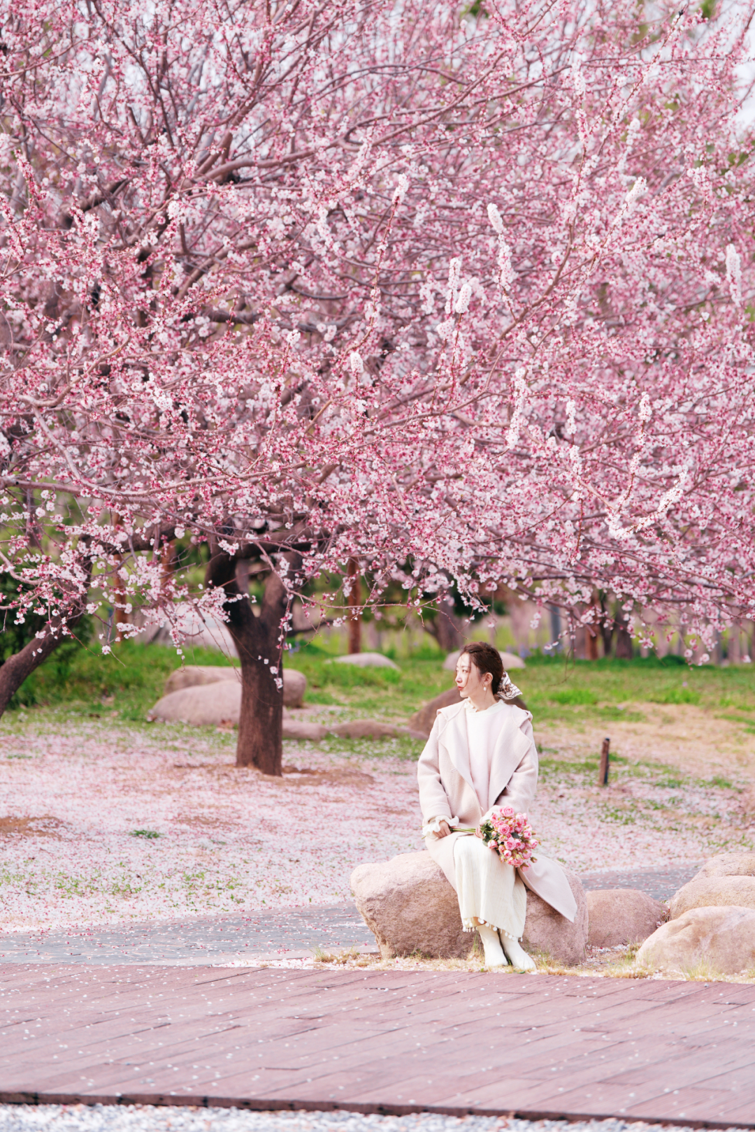 绝美！速来打卡港区“花花世界”