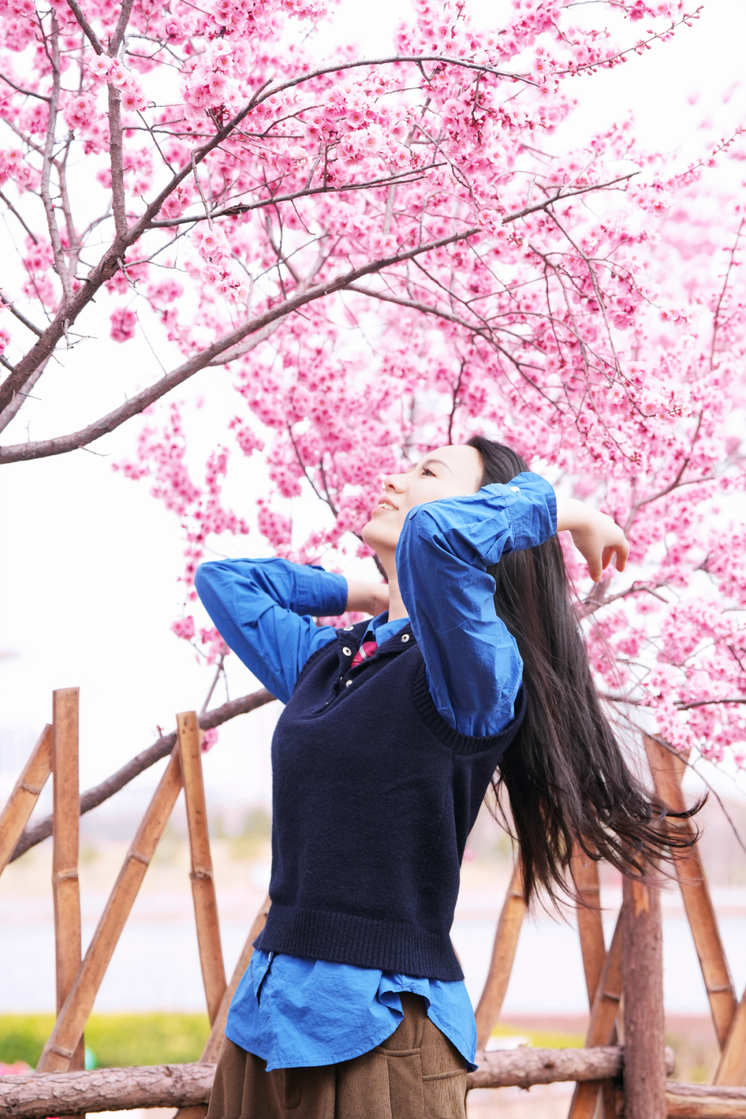 绝美！速来打卡港区“花花世界”