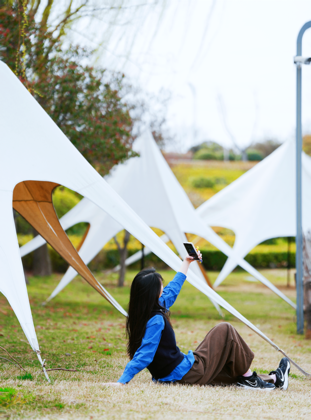 绝美！速来打卡港区“花花世界”