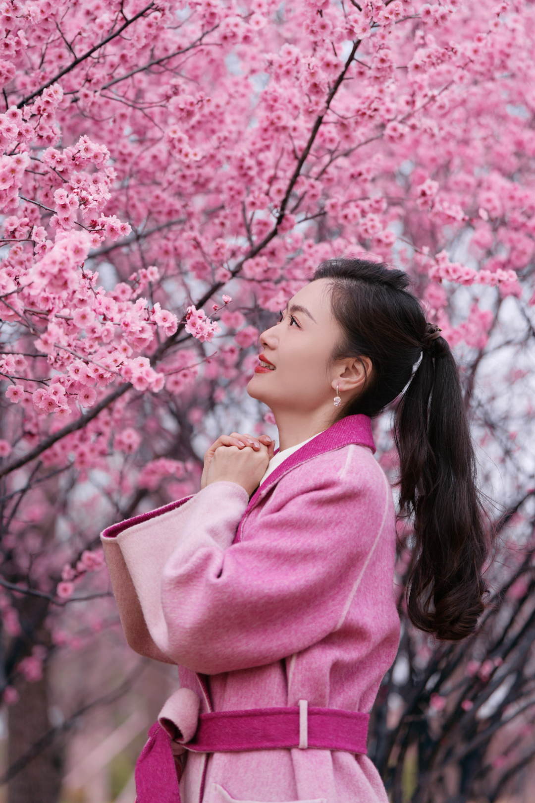 绝美！速来打卡港区“花花世界”