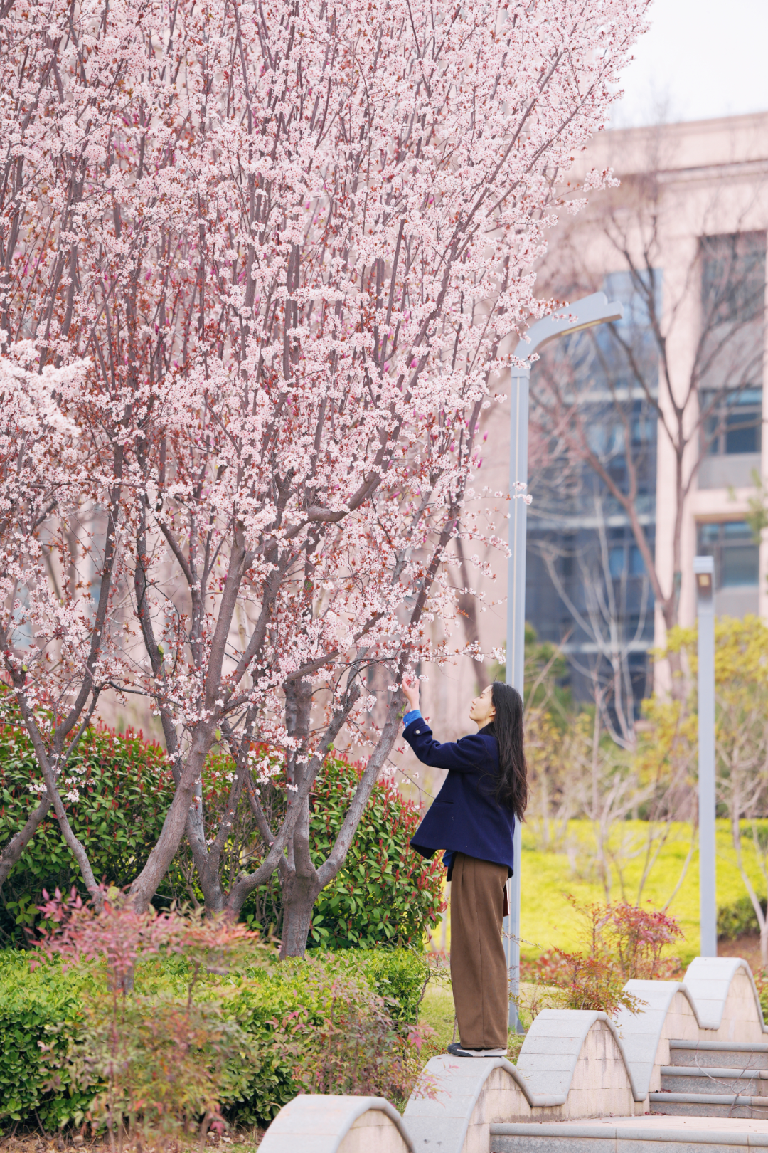 绝美！速来打卡港区“花花世界”