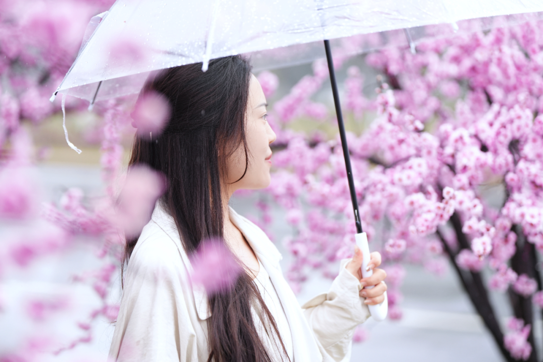 绝美！速来打卡港区“花花世界”