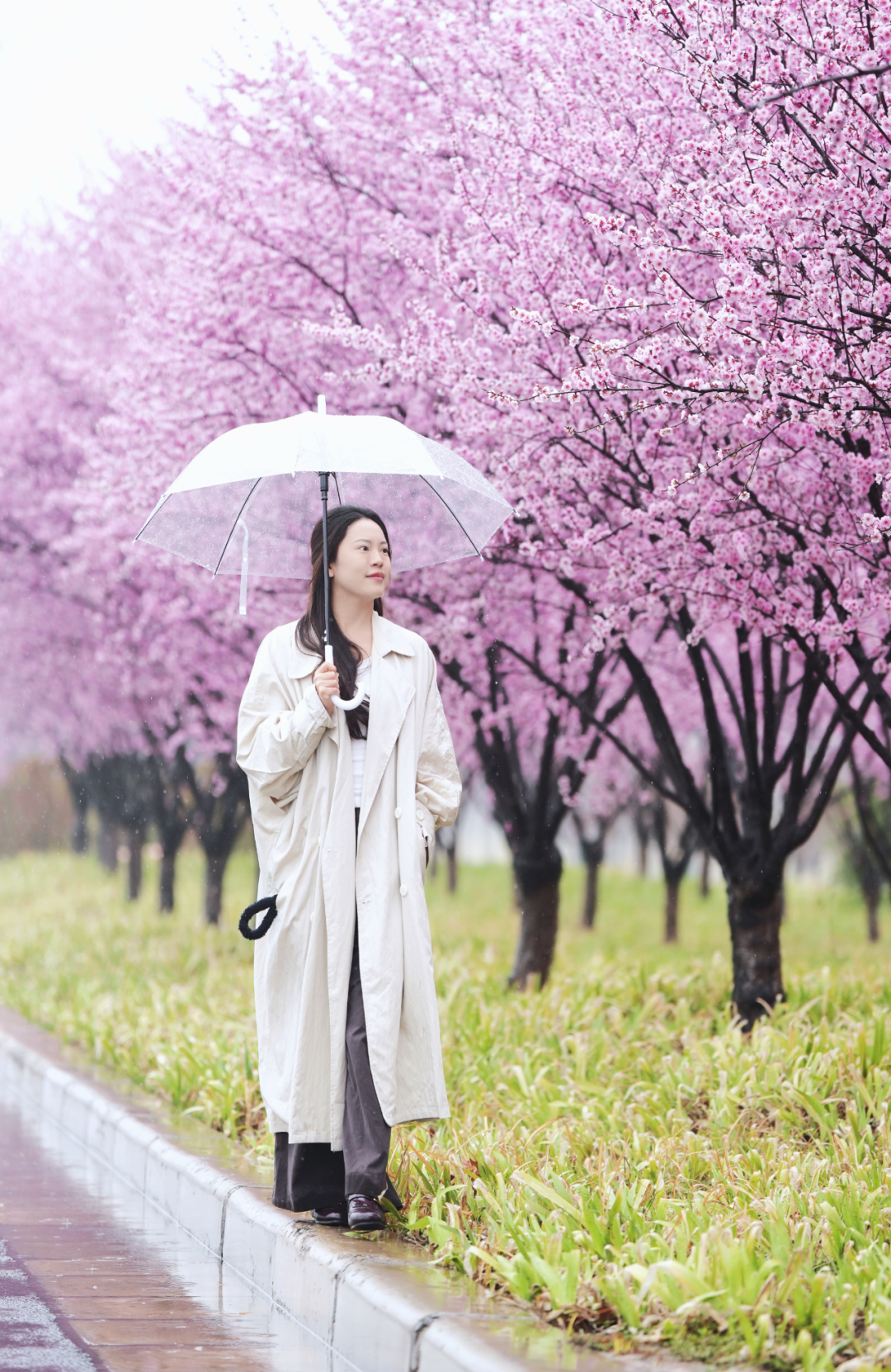 绝美！速来打卡港区“花花世界”
