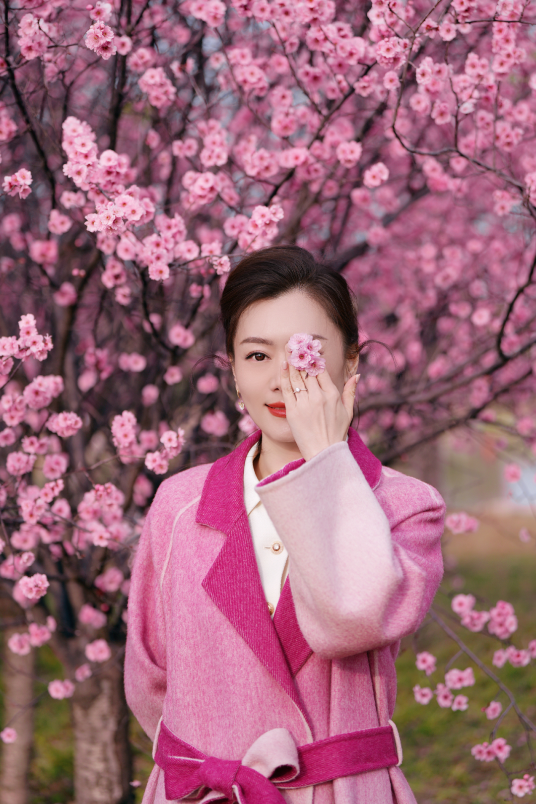 绝美！速来打卡港区“花花世界”