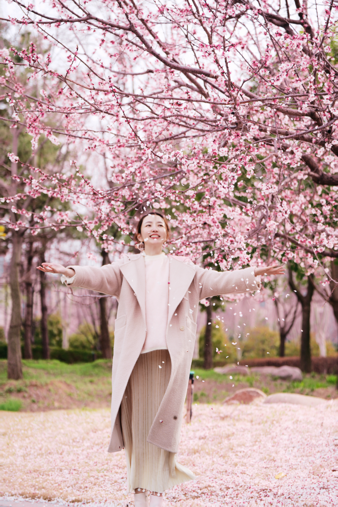 绝美！速来打卡港区“花花世界”