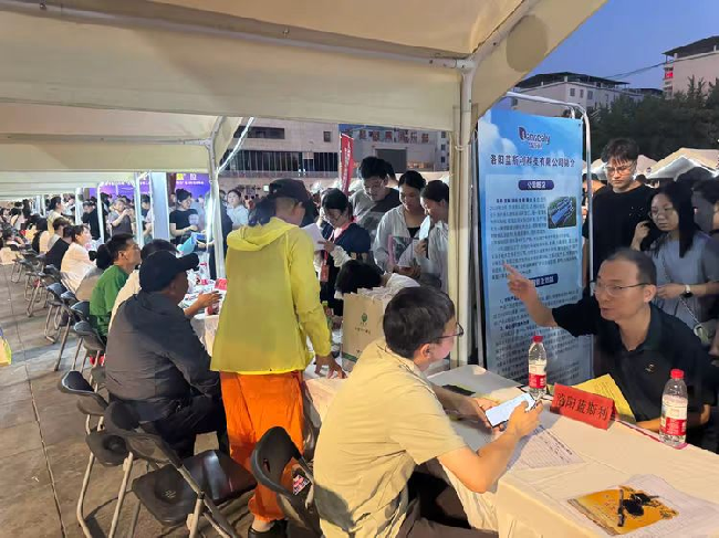 洛宁县举办 2025年“百日千万” 青年人才暨 “失业人员集中帮扶” 夜市专场招聘会