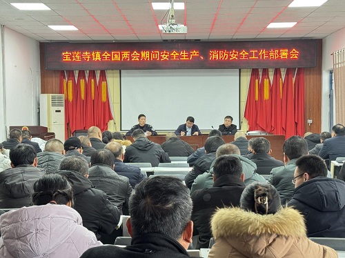 宝莲寺镇全国两会期间安全生产、消防安全工作部署会