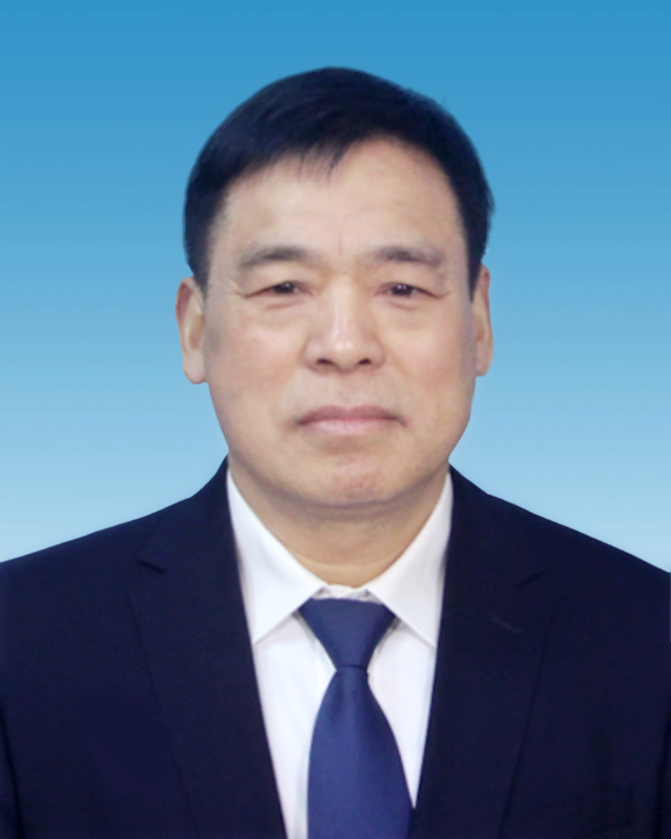 副区长：王    军