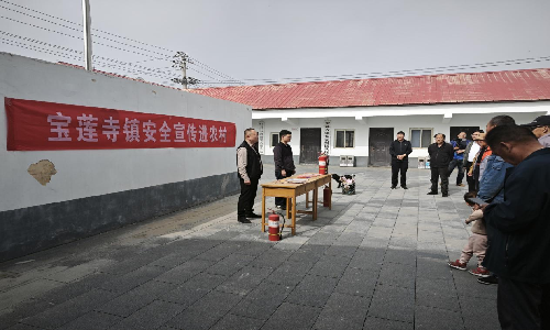 宝莲寺镇开展“五进”宣传活动