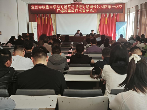 宝莲寺镇召开安全生产重点工作部署会