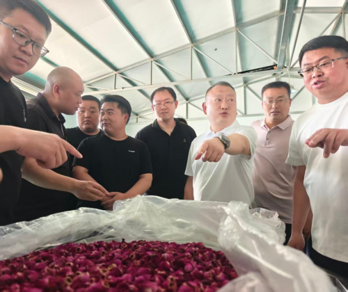 观摩比拼找差距 党建赋能促提升 观摩比拼找差距 党建赋能促提升