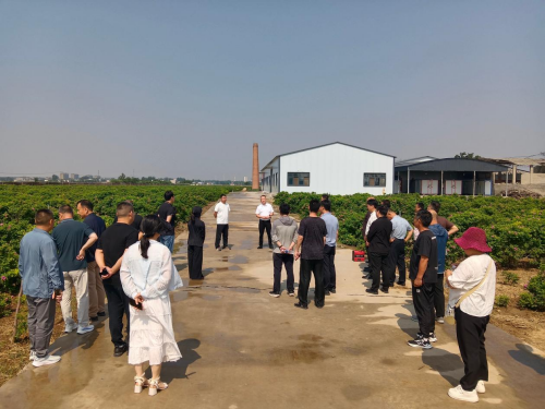 观摩比拼找差距 党建赋能促提升 观摩比拼找差距 党建赋能促提升