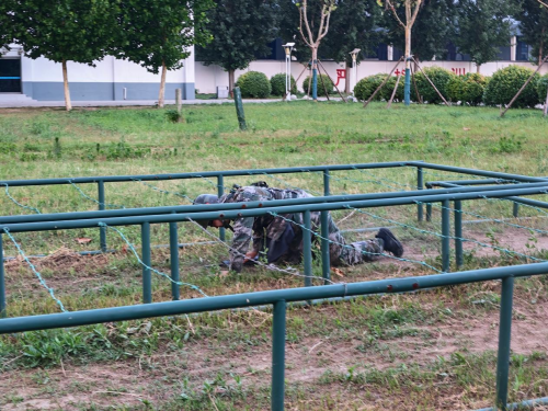砺兵铸魂强本领 实战实训勇担当 砺兵铸魂强本领 实战实训勇担当