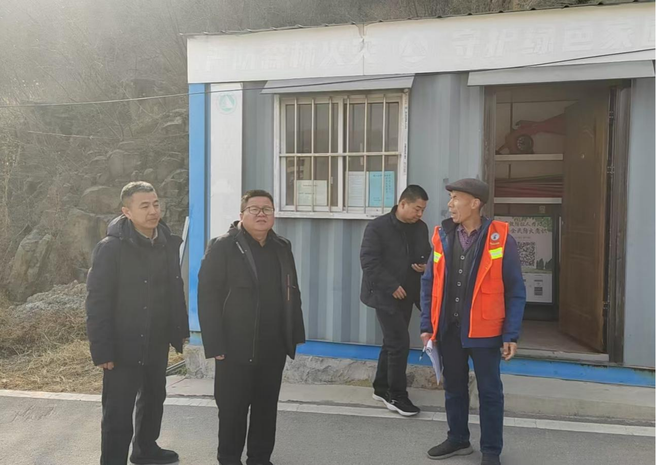 压实责任，筑牢防线：省市领导检查磊口乡森林防火工作