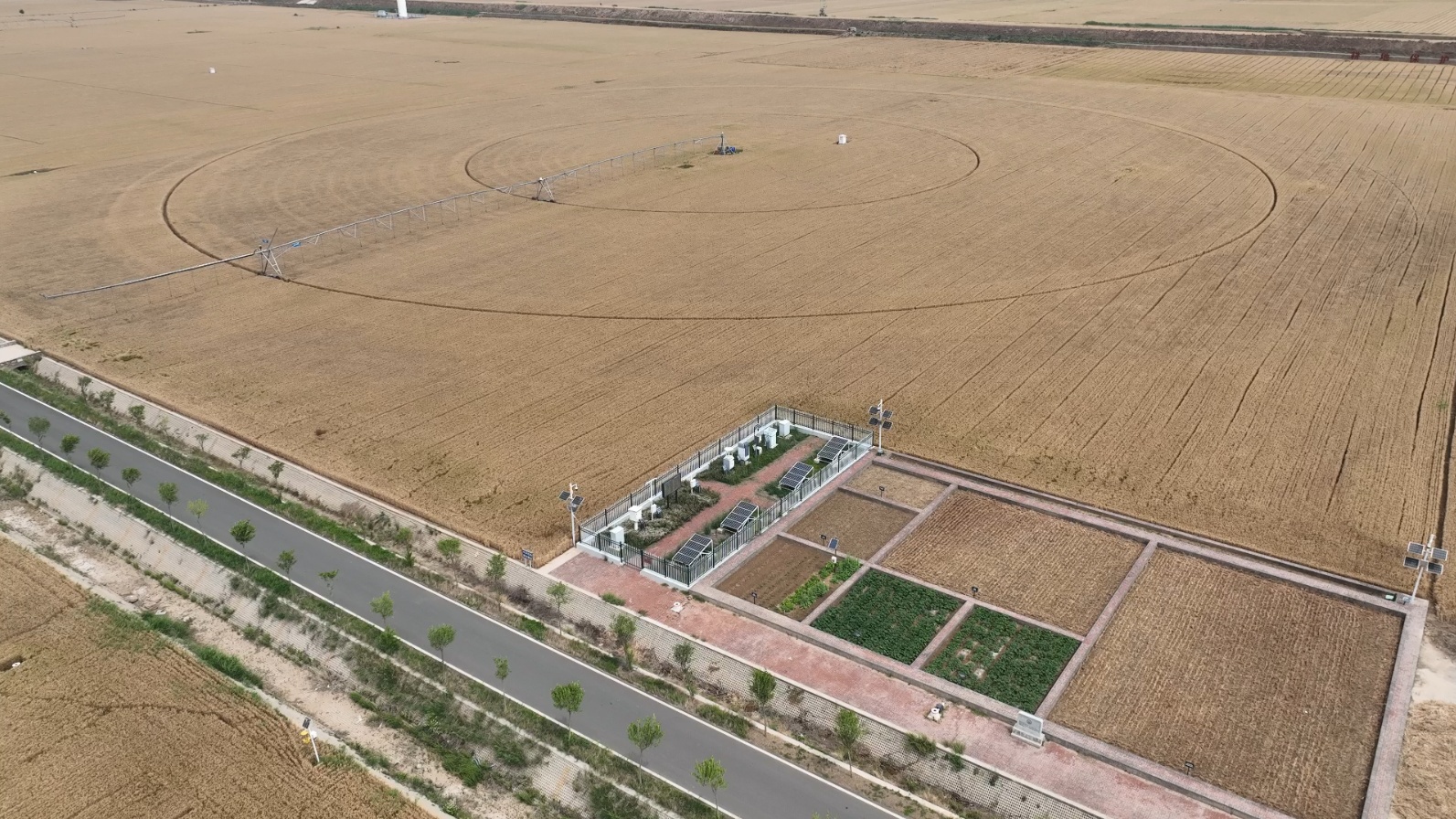 粮安产业兴 乡村画卷新 ——2025年汤阴县农业农村工作迈出坚实步伐纪实