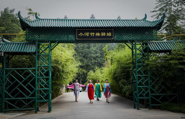 河南安阳:绘就中原乡村旅游新图景 河南安阳:绘就中原乡村旅游新图景