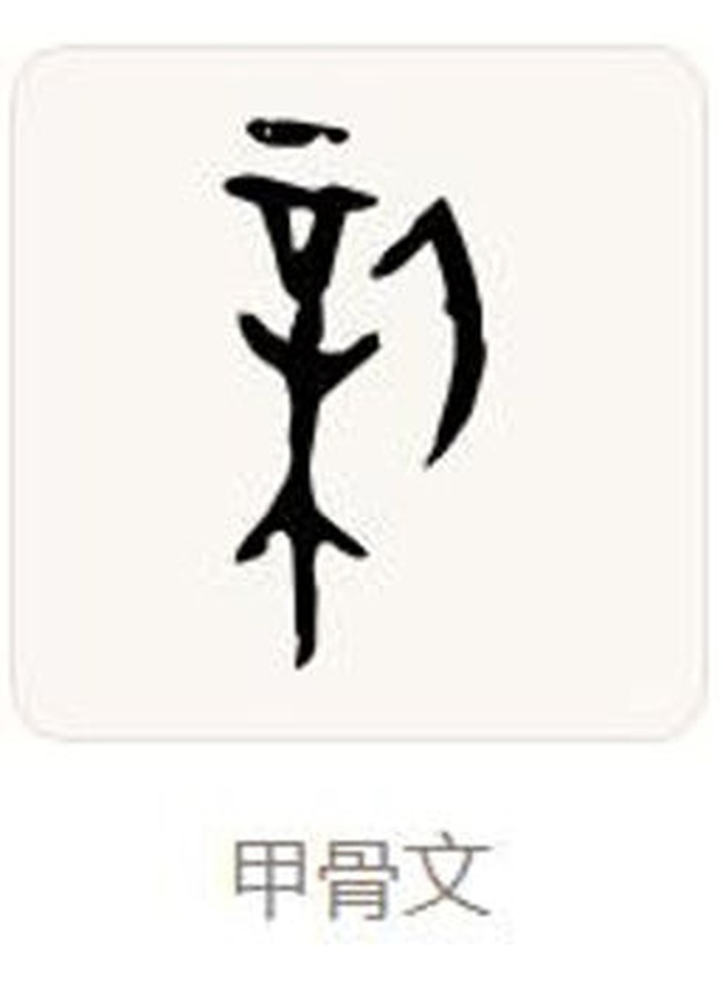 新华每日电讯聚焦！字里安阳日日新