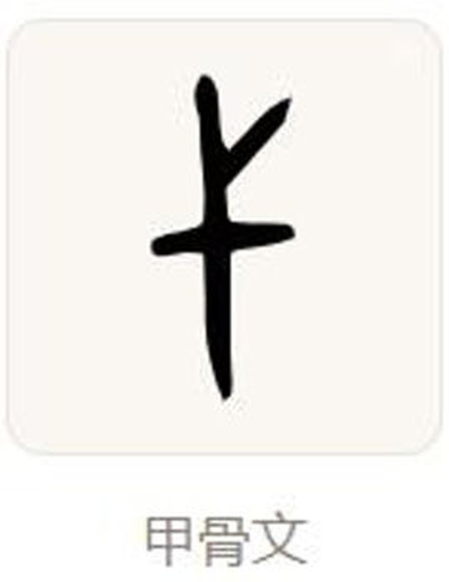 新华每日电讯聚焦！字里安阳日日新