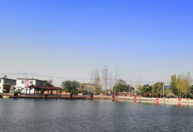 汤阴菜园:深耕生态宜居星 绘就美丽乡村新画卷 汤阴菜园:深耕生态宜居星 绘就美丽乡村新画卷