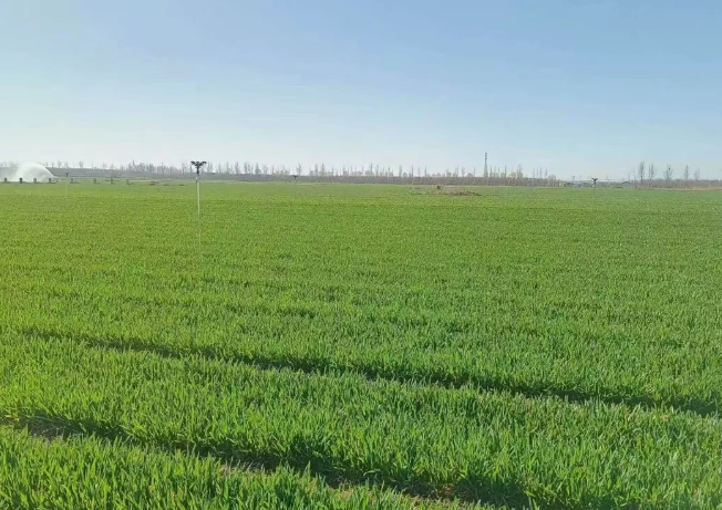 人勤春来早 不误农时不误春