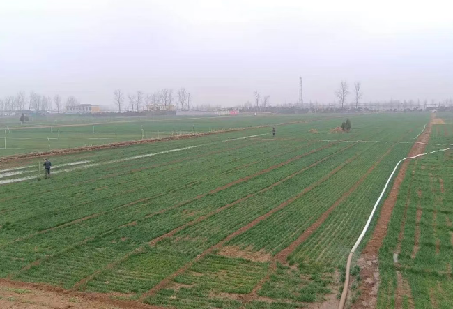 人勤春来早 不误农时不误春