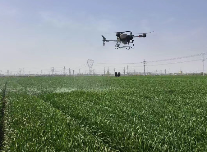 汤阴:科技助农正当时 “一喷三防”保丰收 汤阴:科技助农正当时 “一喷三防”保丰收