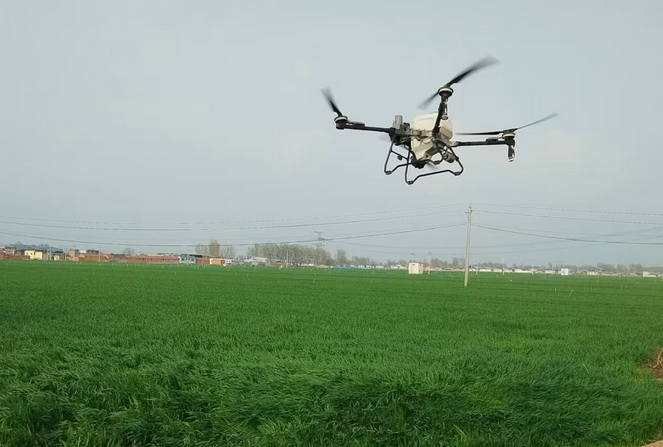 汤阴白营：无人机飞防护麦田 新技术助力保丰收