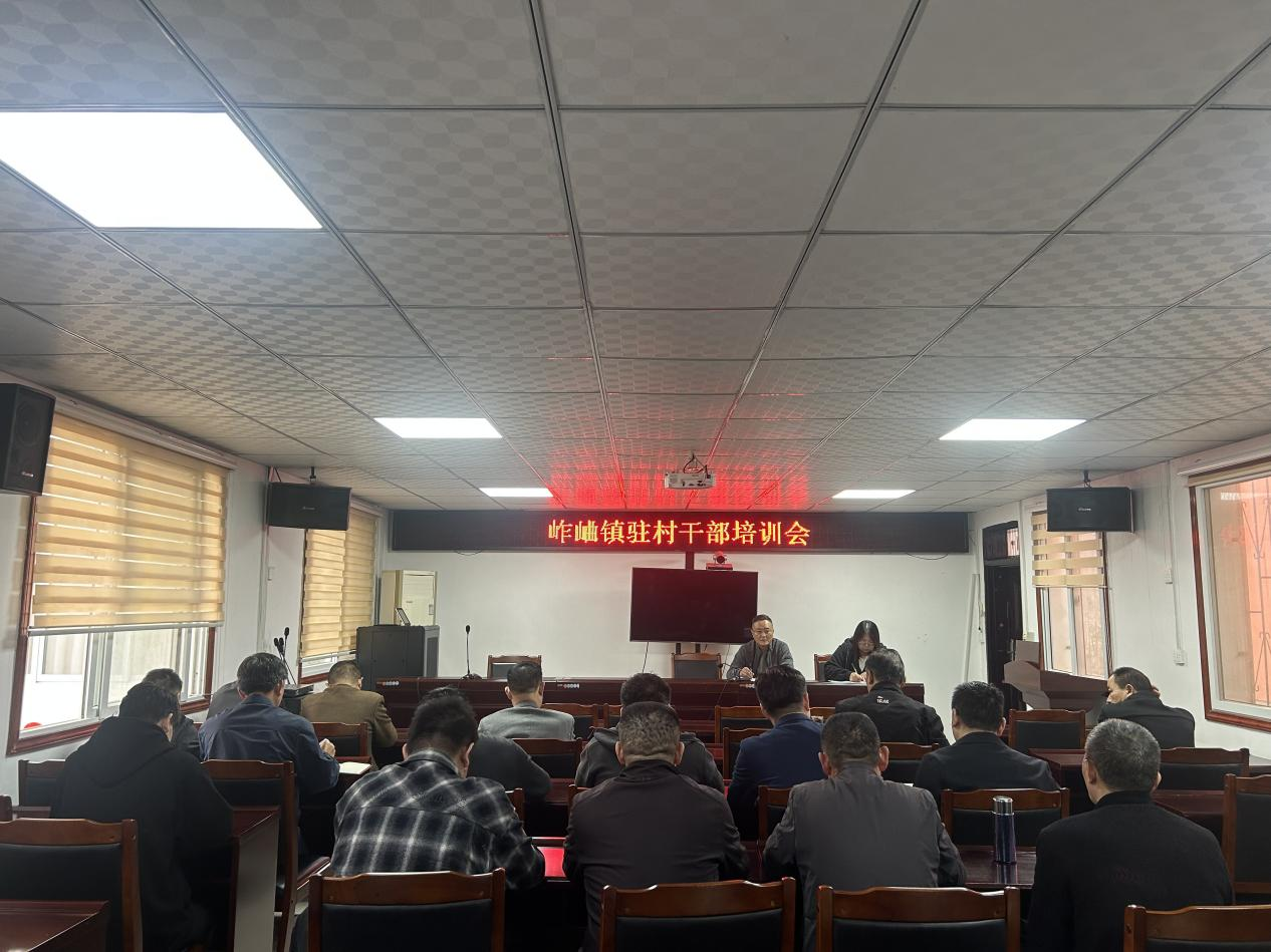 岞𪨰镇：“把脉问诊”驻村帮扶 以训促改提质增效