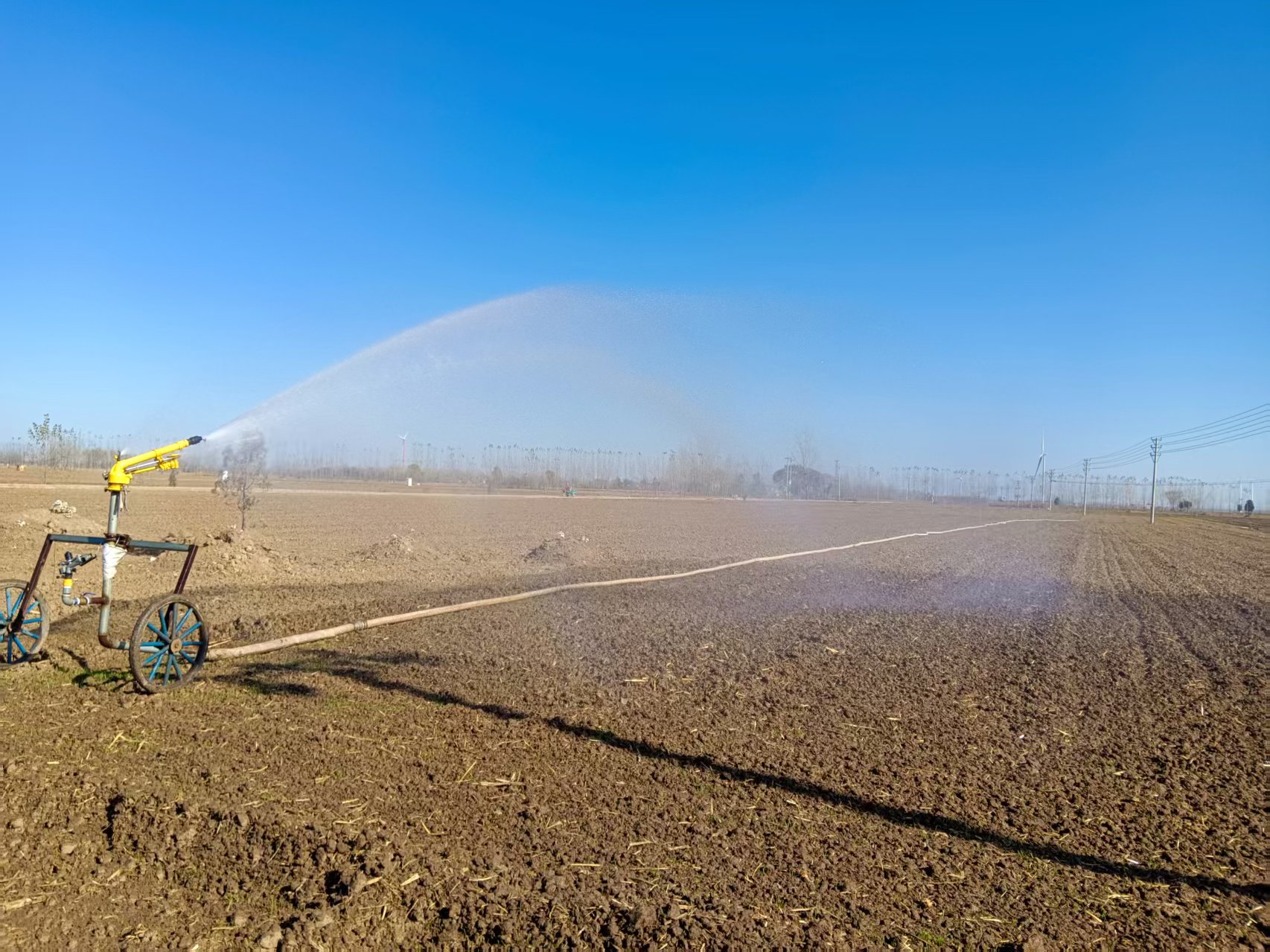 湯陰菜園:水潤沃野 冬灌正酣 湯陰菜園:水潤沃野 冬灌正酣