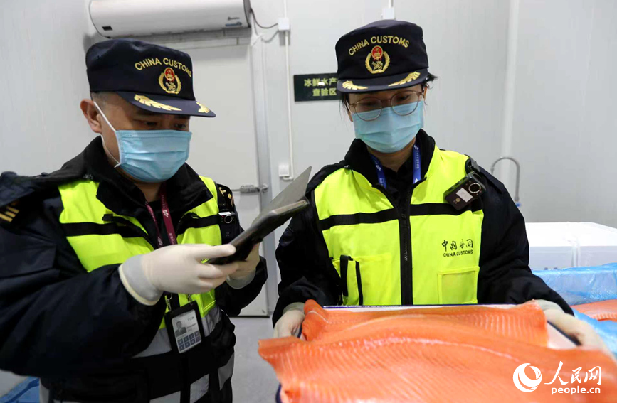 海关工作人员对三文鱼进行查验。人民网记者 霍亚平摄