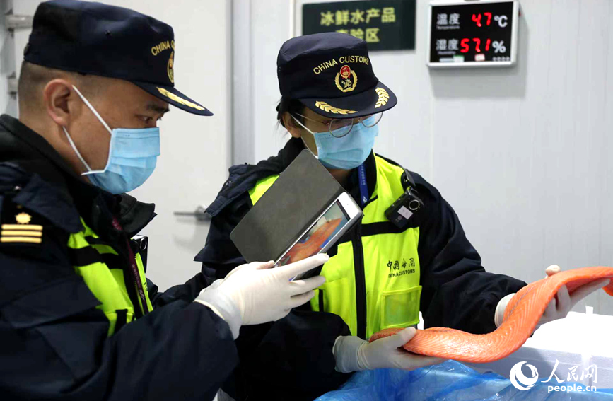 海关工作人员对三文鱼进行查验。人民网记者 霍亚平摄