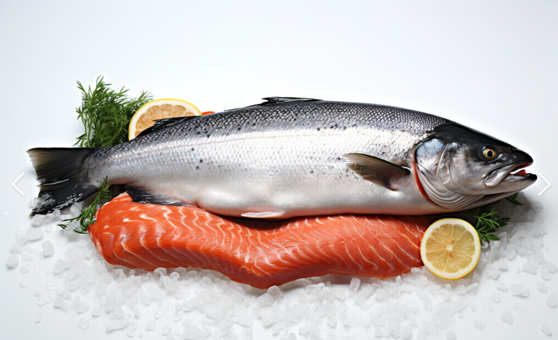 2729082139557005 2729082139557005