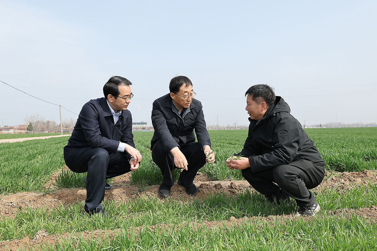 6785555912889981 6785555912889981