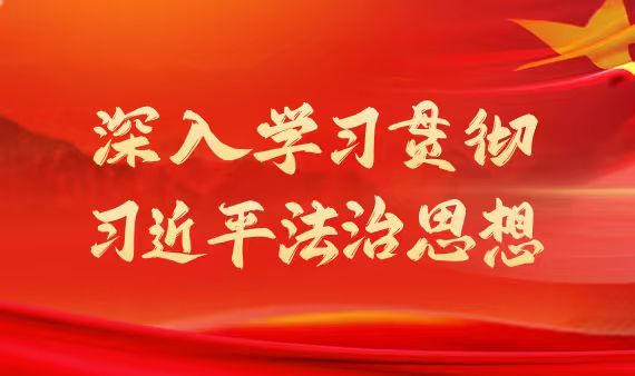 深入学习贯彻习近平法治思想