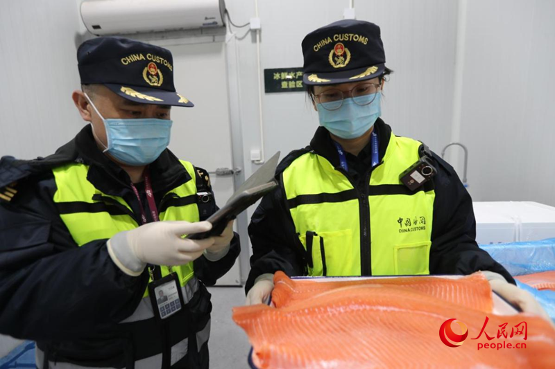海关工作人员对三文鱼进行查验。人民网记者 霍亚平摄 海关工作人员对三文鱼进行查验。人民网记者 霍亚平摄