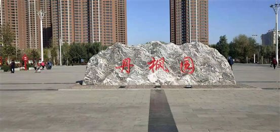 2e77b9f2b0f0848469507ab7d51d053