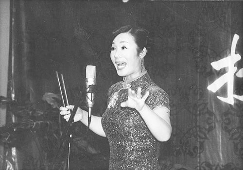 河南坠子