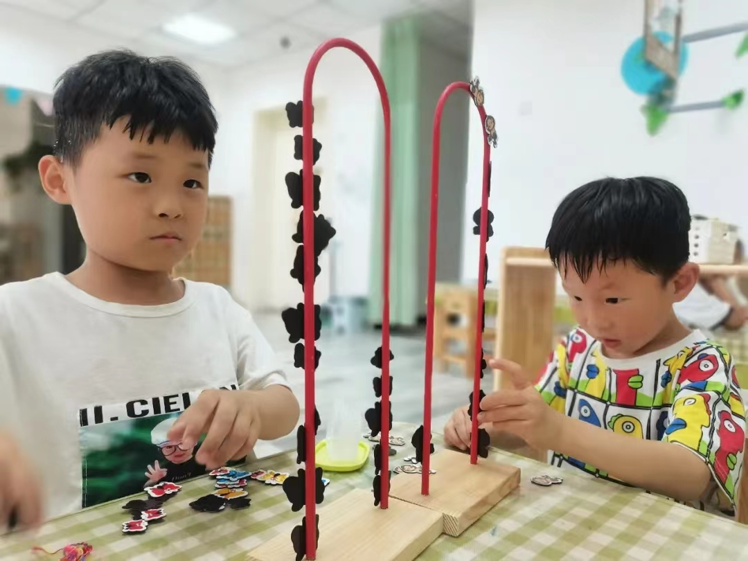 游戏中学分成.jpg