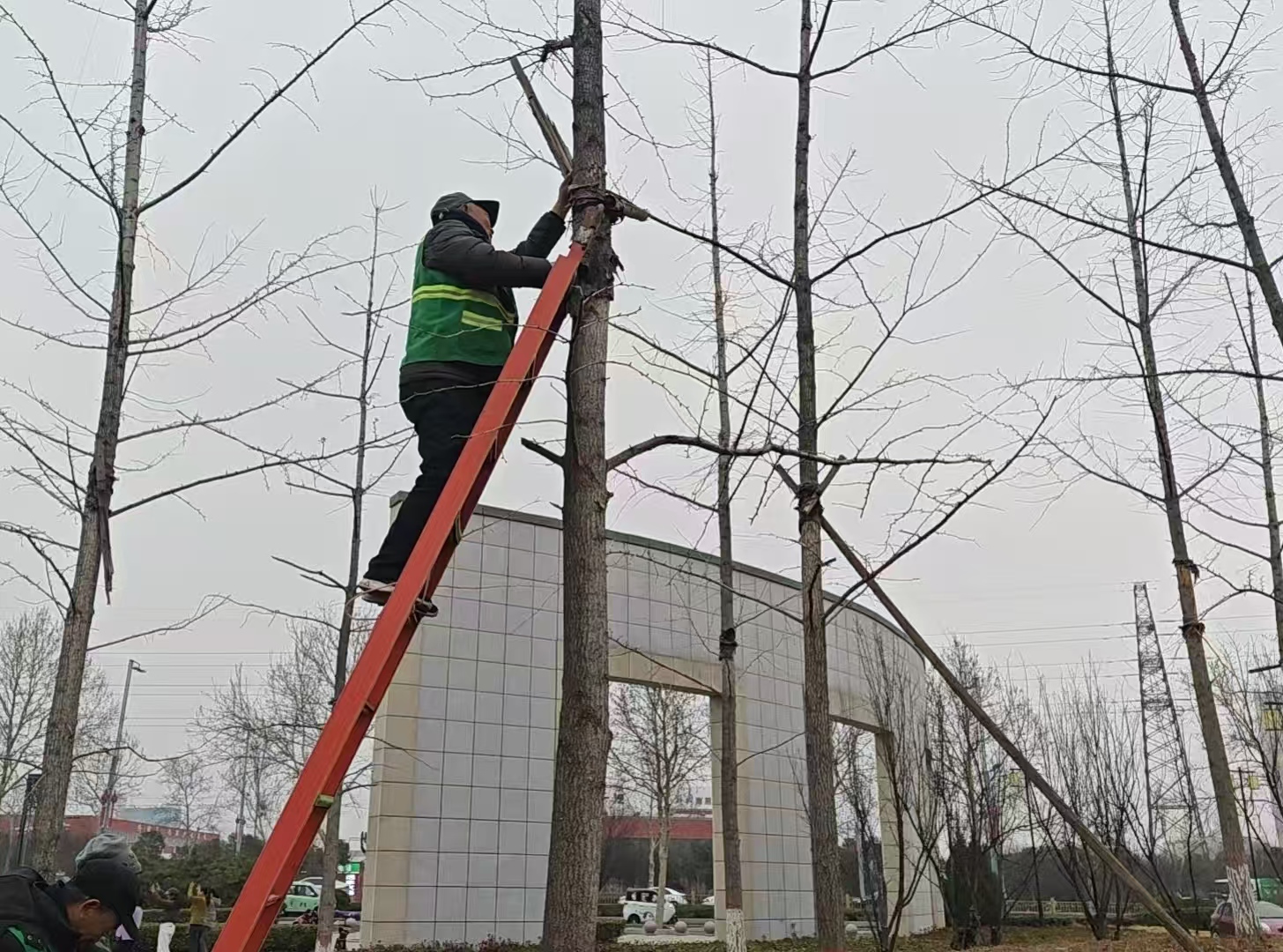区城市管理局认真学习贯彻 区三级干部会议精神 实干笃行持续提升城市环境品质