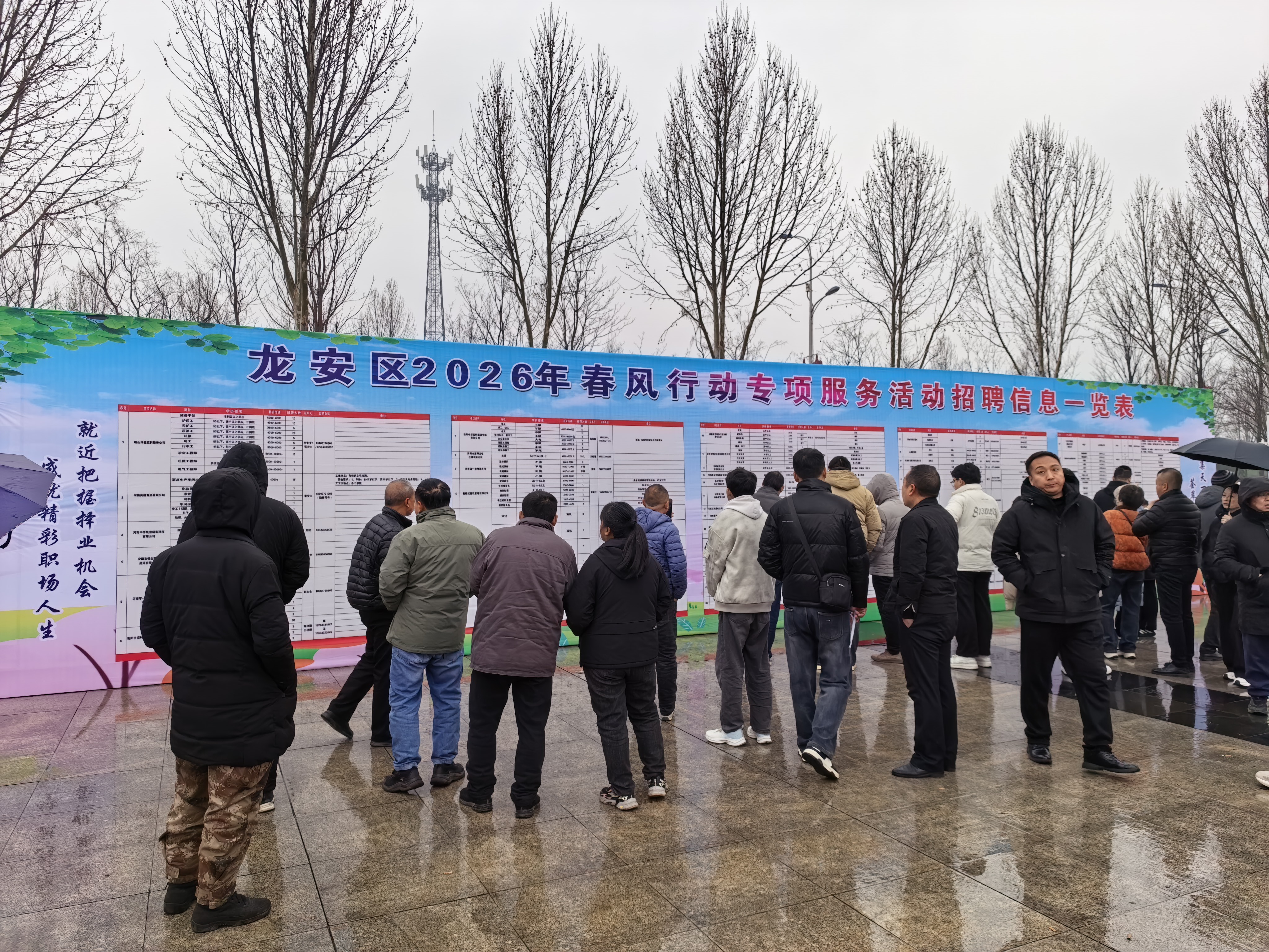 区人社局情暖龙安春风里 就业服务零距离——龙安区就业服务中心组织召开2026年“春风行动”暨就业援助季专场招聘会