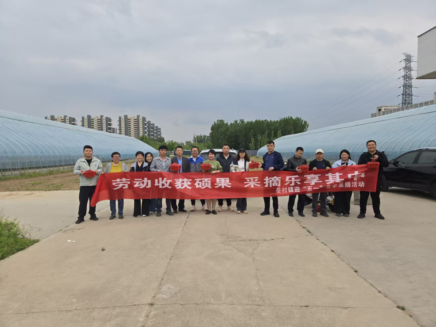 乐享采摘庆五一 凝心聚力助振兴|岳村镇组织开展特色采摘主题活动