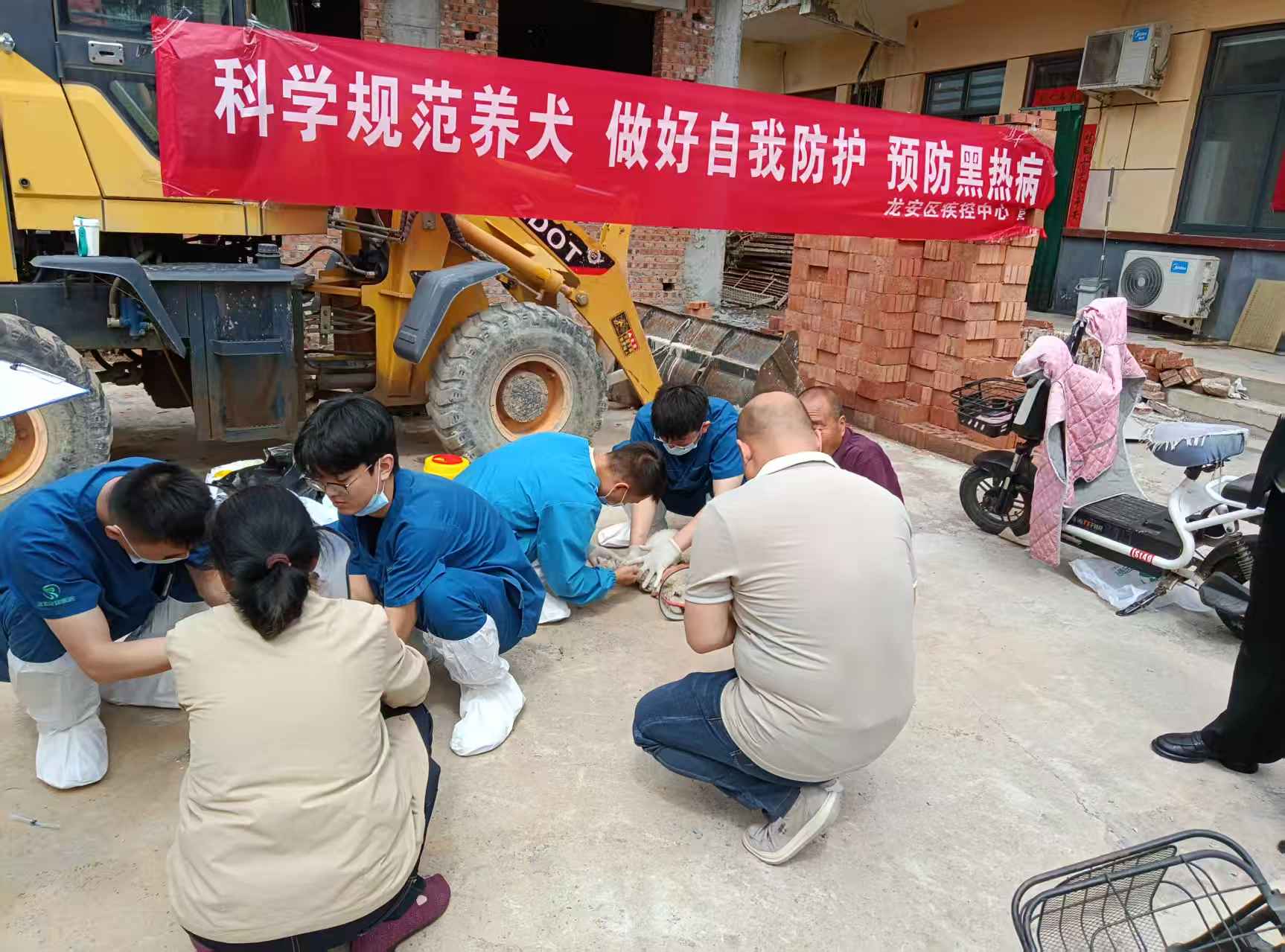 区卫健委扎实开展黑热病专项排查整治 区卫健委扎实开展黑热病专项排查整治