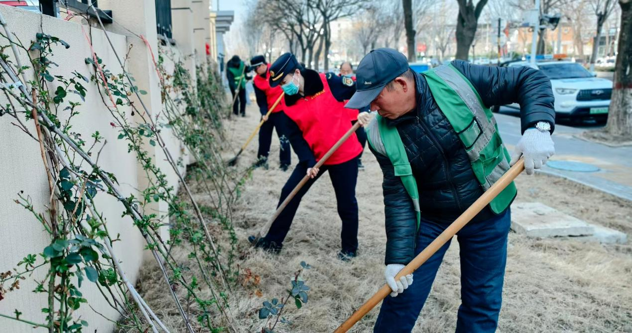 区城市管理局抢抓春季黄金期 推进立体绿化提质
