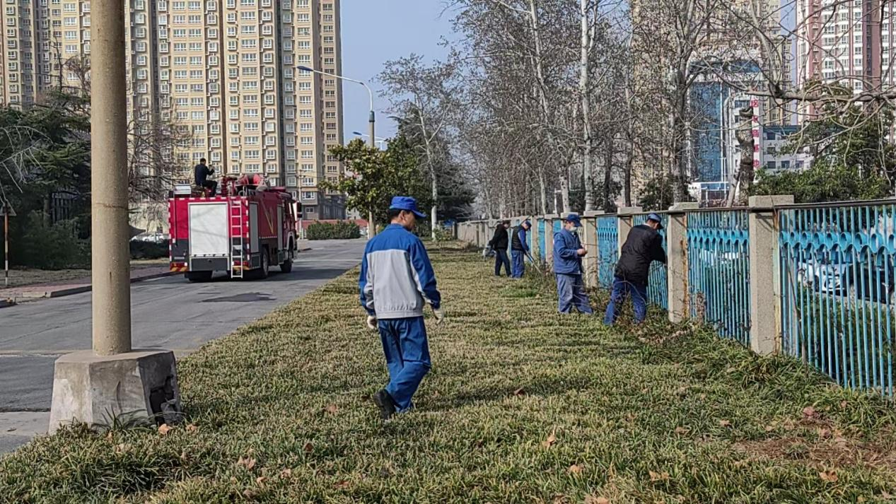 区城市管理局抢抓春季黄金期 推进立体绿化提质
